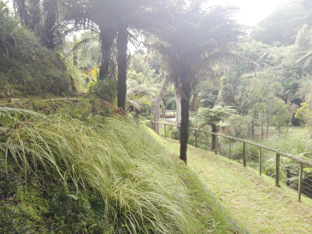 Апартаменты Taranaki Experience Нью-Плимут Экстерьер фото